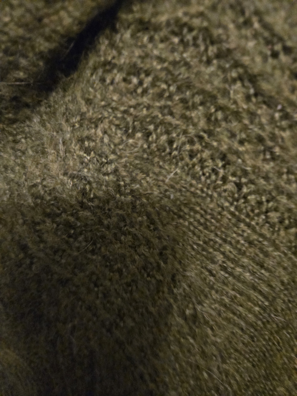 J. Crew Olive Crewneck Sweater